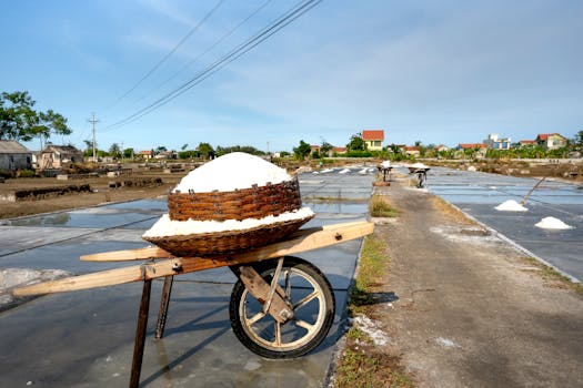 Wheelbarrow carrying salt in a rural salt field under clear skies.