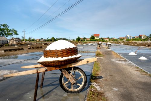 Free Wheelbarrow carrying salt in a rural salt field under clear skies. Stock Photo
