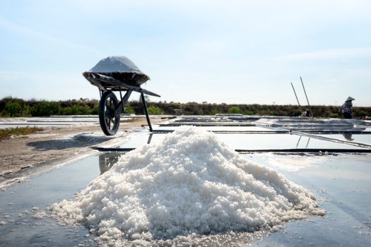 Sodium Chloride next to a Pond and a Wheelbarrow