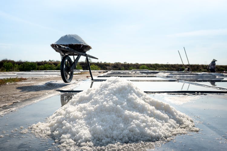 Sodium Chloride Next To A Pond And A Wheelbarrow