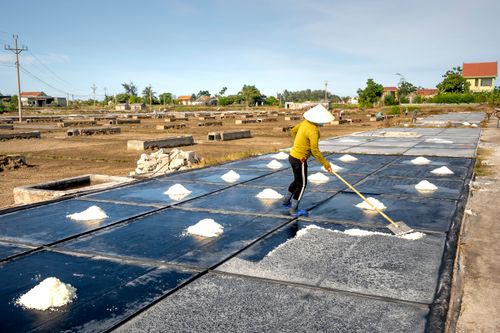 Free Worker in conical hat harvesting salt in the rural outdoors on a sunny day. Stock Photo