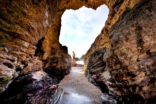 Foto profissional grátis de adega, areia, beira-mar