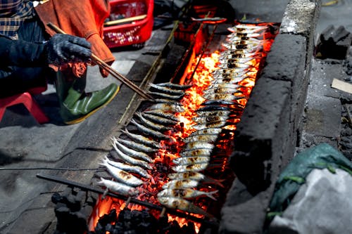 Ingyenes stockfotó ételt előkészíteni, főzés, grill témában