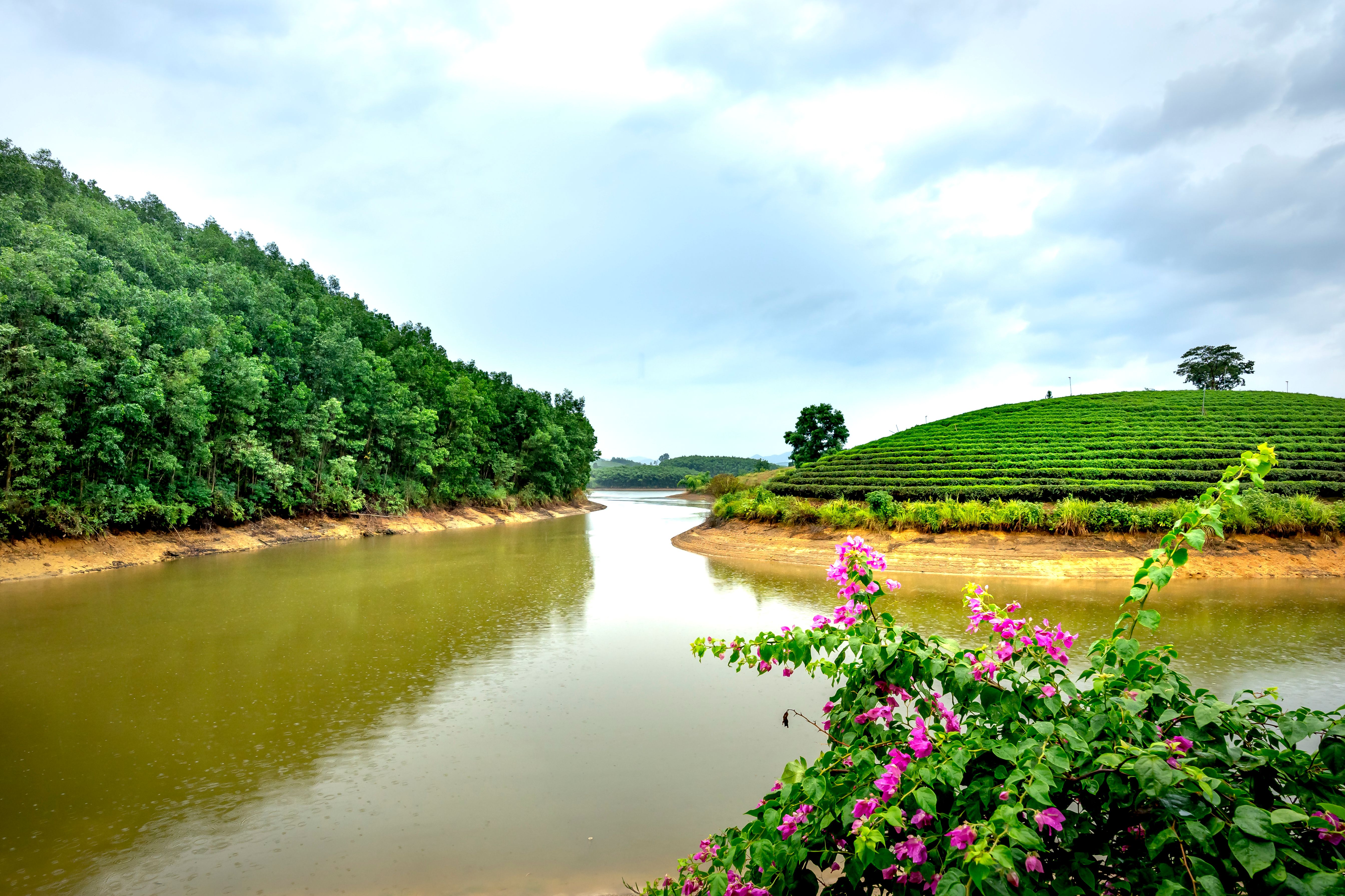 প্রাকৃতিক দৃশ্য নিয়ে ক্যাপশন