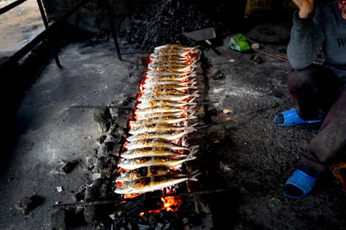 Kostnadsfri bild av fisk, förbereda, grill