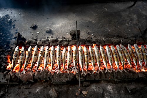 Foto stok gratis alat barbecue, batu bara, ikan