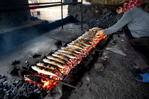 Person grilling fish on charcoal in an outdoor setting.