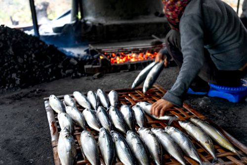 Free Fresh fish being grilled over charcoal at a vibrant Vietnamese market. Stock Photo