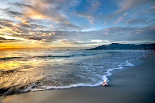 無料 シーサイド, ビーチ, 日没の無料の写真素材 写真素材