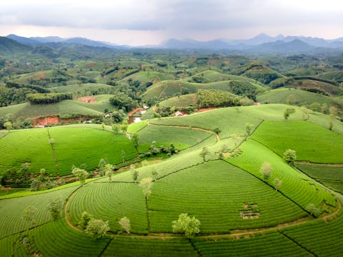 Imagine de stoc gratuită din agricultură, câmp, dealuri