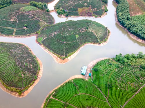 High Angle View of Agricultural Fields