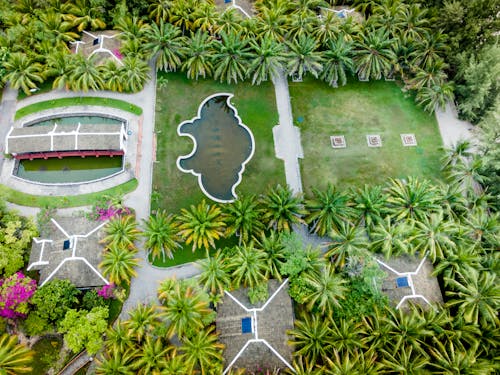 Aerial View of the Garden