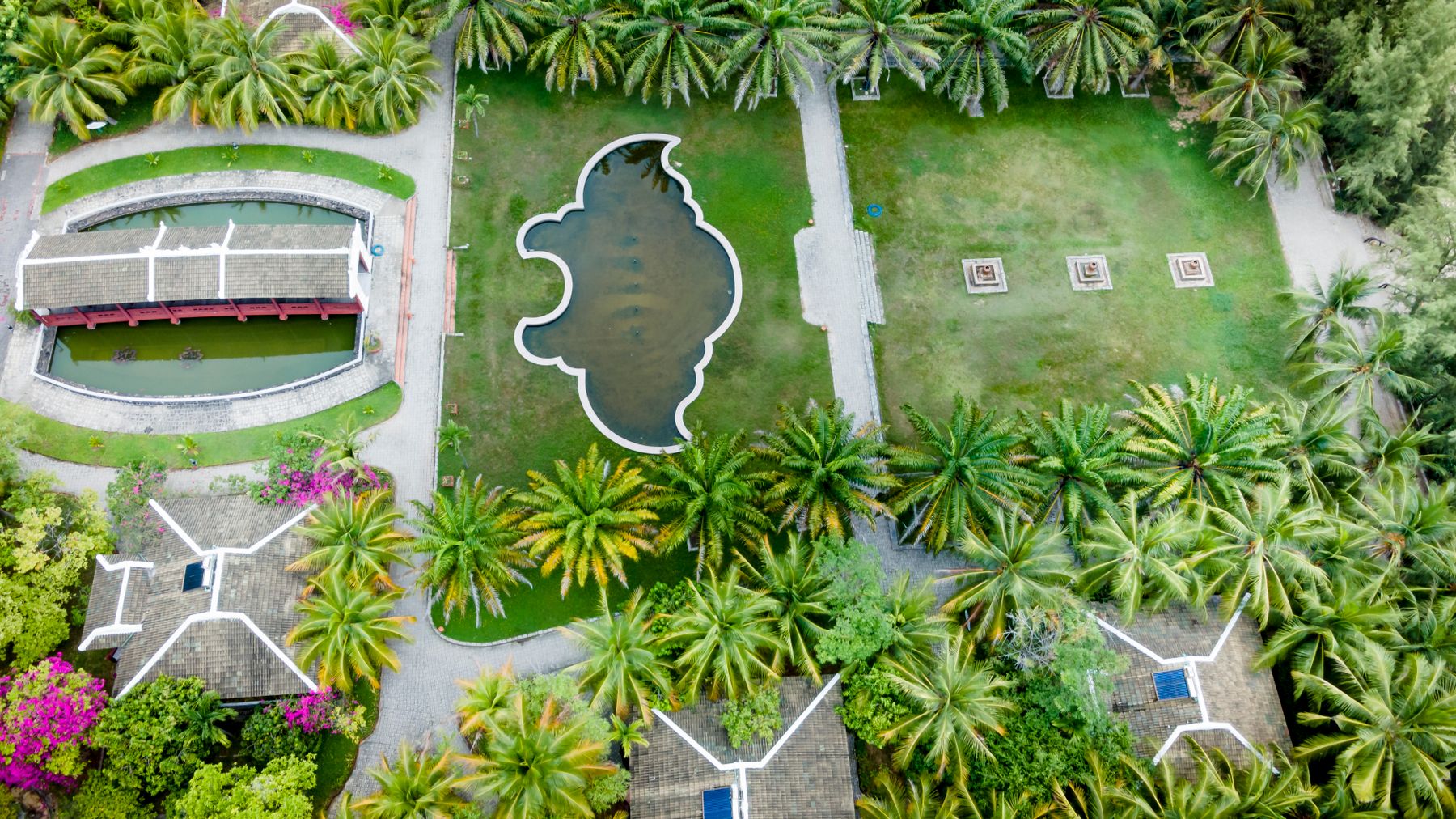 Aerial shot of a lush tropical garden with palm trees and a decorative pond.