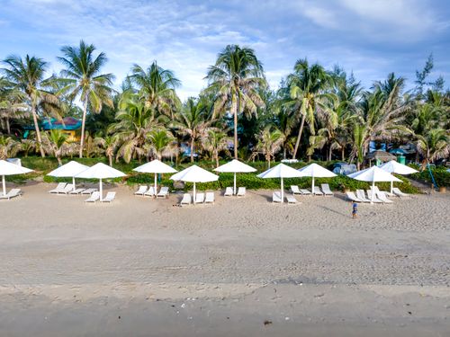 Free Tranquil tropical beach with white umbrellas and palm trees, perfect for relaxation and summer vacations. Stock Photo