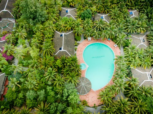 Free A Beautiful Swimming Pool Surrounded by Green Trees Stock Photo