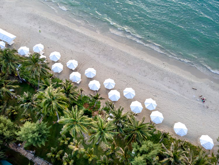 Umbrellas On An Empty Beach In Summer