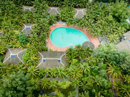 Drone Shot of Swimming Pool Surrounded by Palm Trees