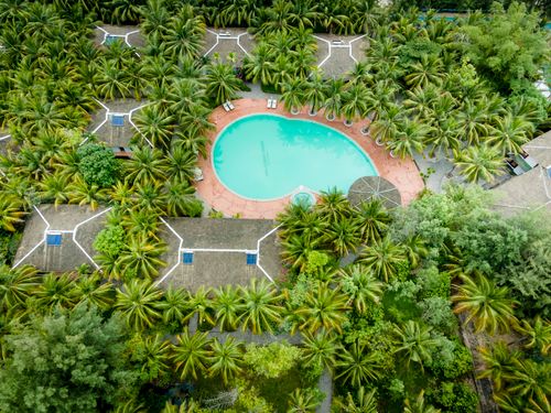 Free Stunning aerial shot of a resort with a swimming pool surrounded by lush palm trees. Stock Photo