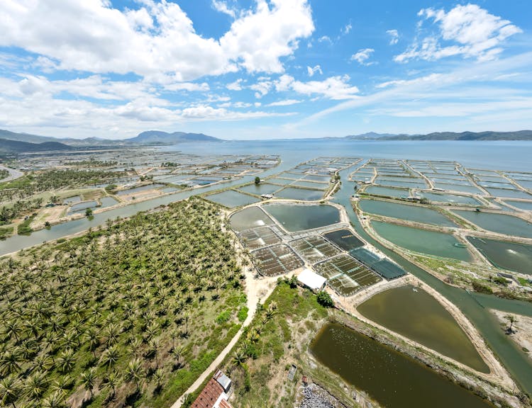 Aerial View Of Fish Farms 