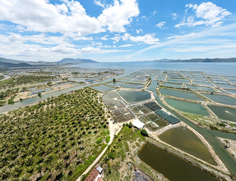 Aerial View of Fish Farms · Free Stock Photo