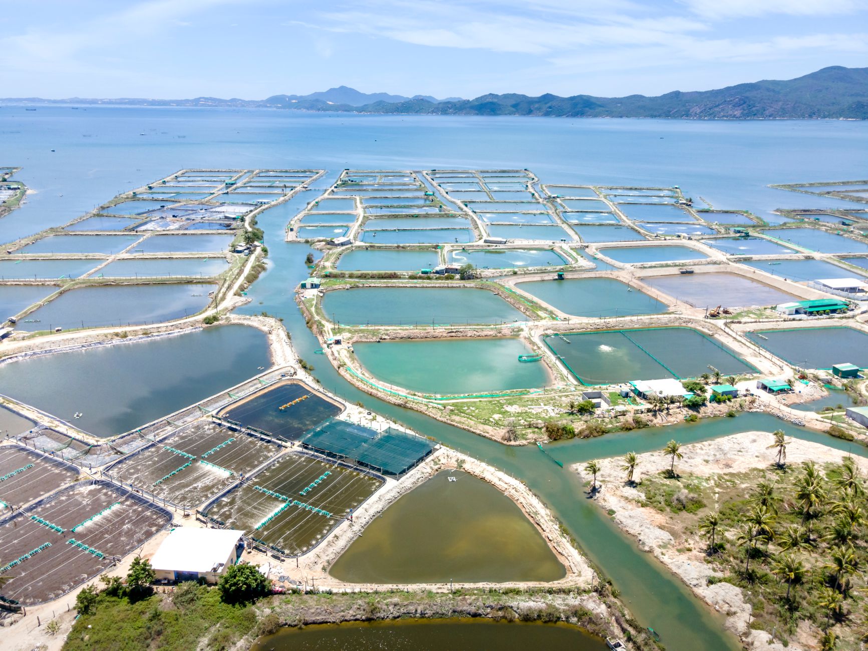 Expansive aerial shot of fish farms along the coastline with lush landscapes.