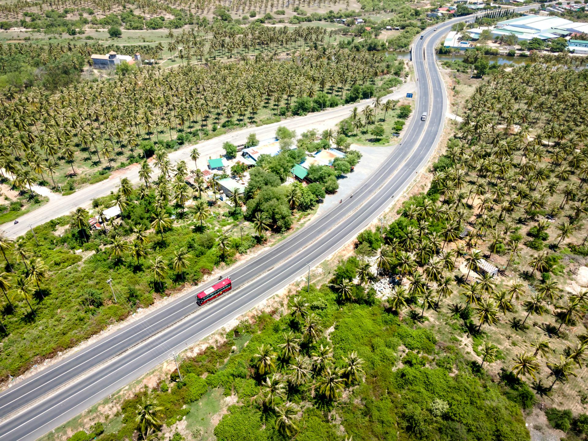 Aerial view of a highway winding through a lush palm tree plantation on a sunny day.
