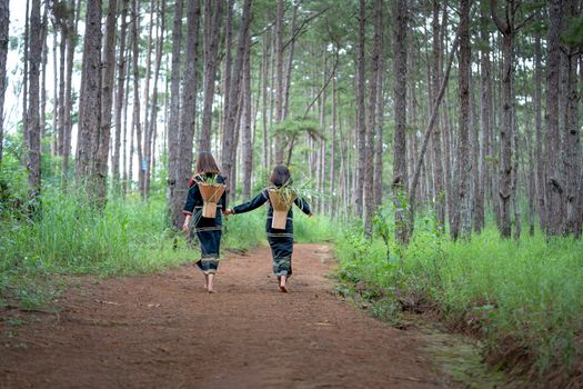 Two children walking barefoot on a forest path, carrying traditional baskets.