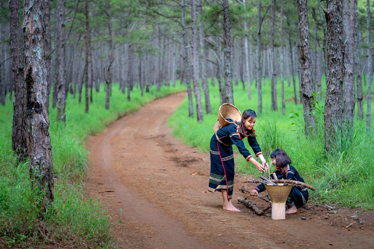 Women Picking Sticks In A Forest And Putting Them Into Their Baskets 