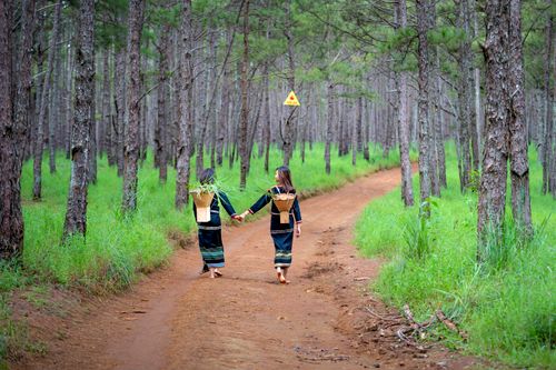 Free Two women in traditional attire walk hand in hand along a forest path carrying baskets. Stock Photo