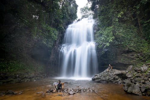 Foto profissional grátis de água corrente, árvores, cachoeira