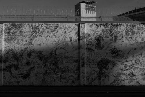 Immagine gratuita di bianco e nero, filo spinato, fotografia in scala di grigi