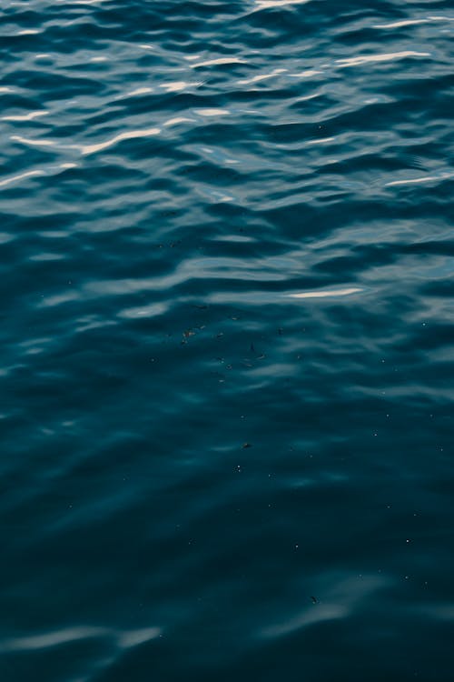 Základová fotografie zdarma na téma klidná voda, modrá voda, vertikální záběr