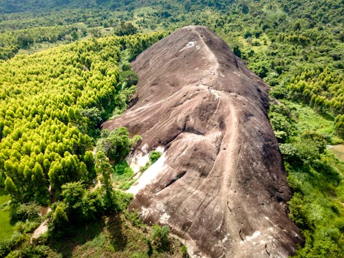Brown Rock Formation Surrounded by Green Trees