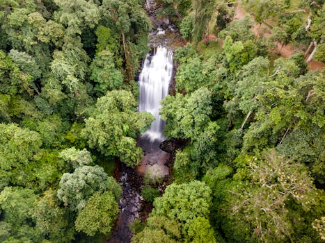 A breathtaking aerial view capturing a waterfall cascading through lush green forest.