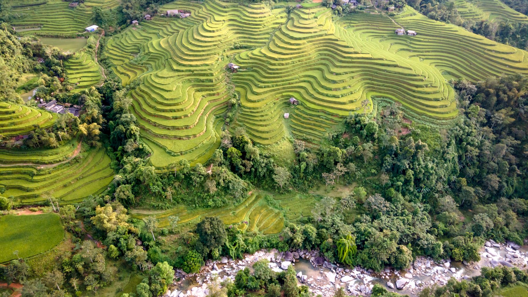 Stunning aerial view of vibrant green rice terraces nestled in a lush countryside landscape.