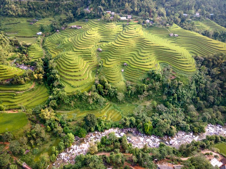 Lush green Banaue Rice Terraces at sunrise in Ifugao, Philippines