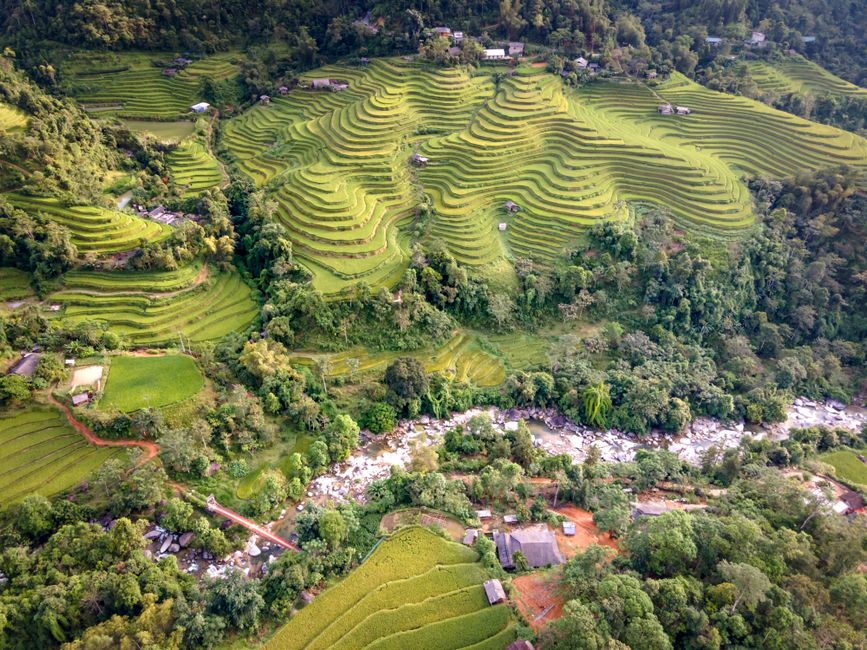 Laman Padi: Lebih dari Sekadar Tempat Wisata Laman Padi: Lebih dari Sekadar Tempat Wisata