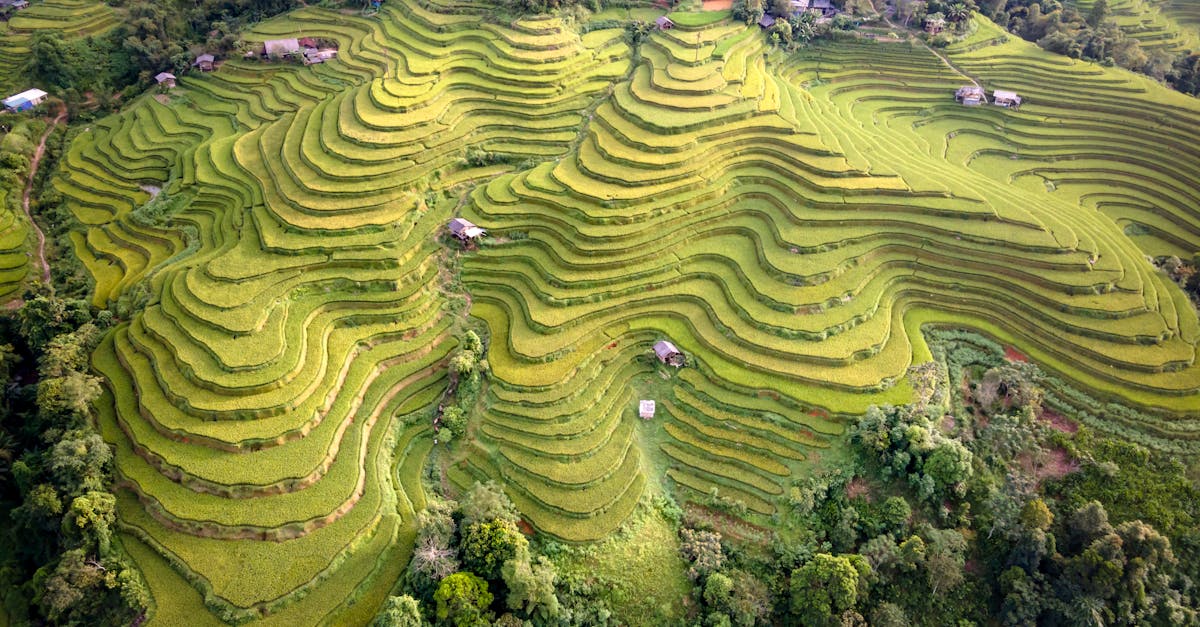 Guide des certifications pour les produits bio