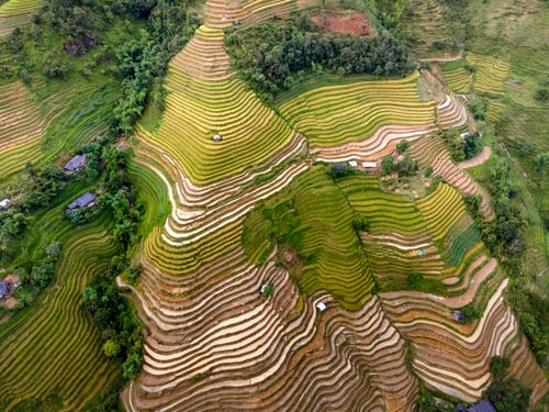 Free Stunning aerial view of vibrant terraced fields, showcasing rural agricultural patterns. Stock Photo