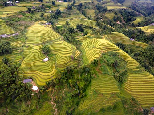 Бесплатное стоковое фото с Аэрофотосъемка, вьетнам, красота