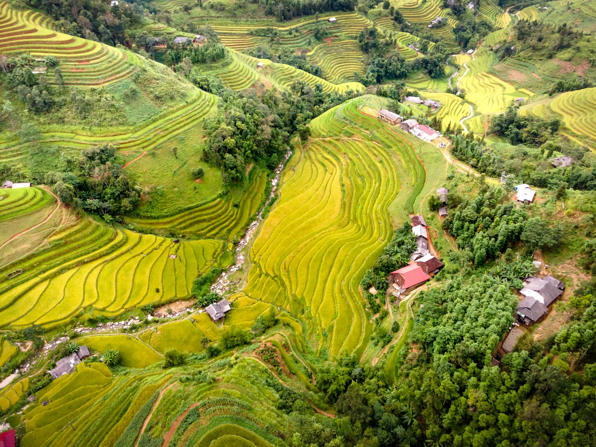 Stunning aerial shot showcasing lush green rice terraces and rural homes in a hilly Asian landscape.