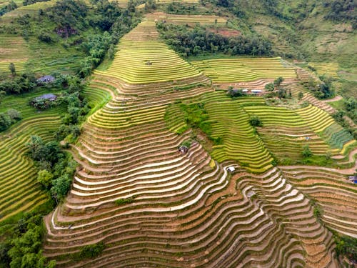 Ảnh lưu trữ miễn phí về chụp ảnh thiên nhiên, chụp ảnh trên không, điểm du lịch