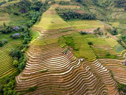 Free Breathtaking aerial view of rice terraces showcasing lush greenery and intricate patterns in a rural landscape. Stock Photo