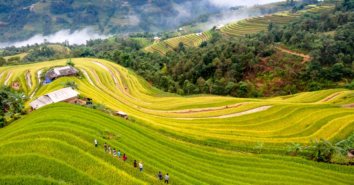 10 Claves para Un Viaje de Encanto y Consciencia Ambiental