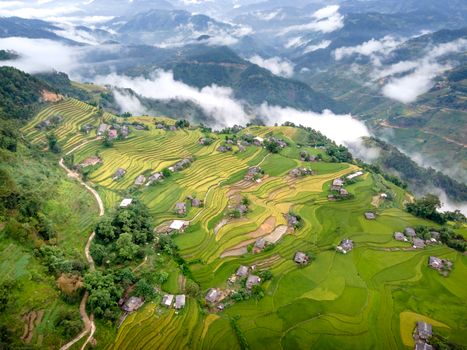 Explore stunning aerial rice terraces enveloped in misty clouds, a captivating rural landscape.