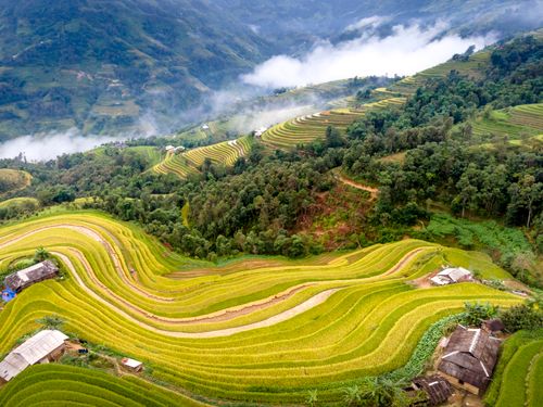 Free Stunning bird's-eye view of lush terraced rice fields with mist-covered mountains in the background. Stock Photo