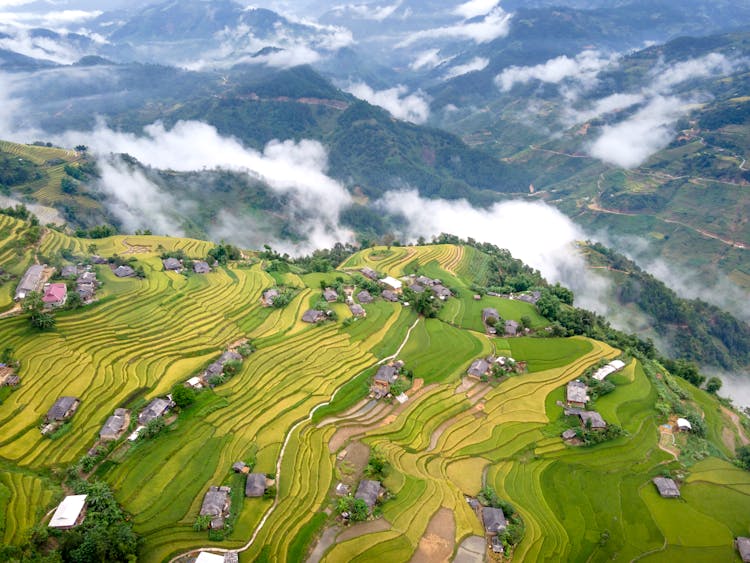 Aerial View Of Green Rice Terraces And Hills In Fog