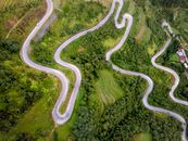 Aerial View of Green Trees and Gray Concrete Road