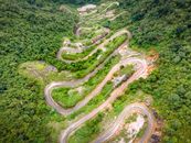 Aerial View of Green Forest