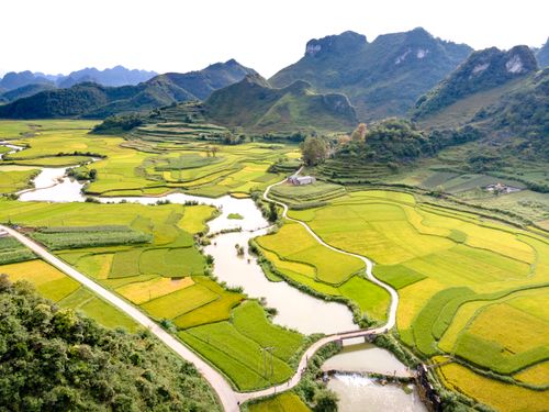 Free Aerial view of vibrant green rice paddies and winding river against mountain backdrop. Stock Photo